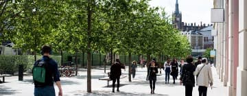 Urban greening for suppliers